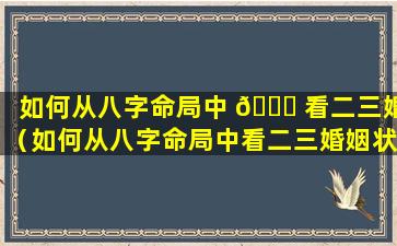 如何从八字命局中 🐎 看二三婚（如何从八字命局中看二三婚姻状况）